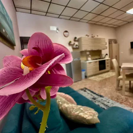 Dimora Casanova Neapel